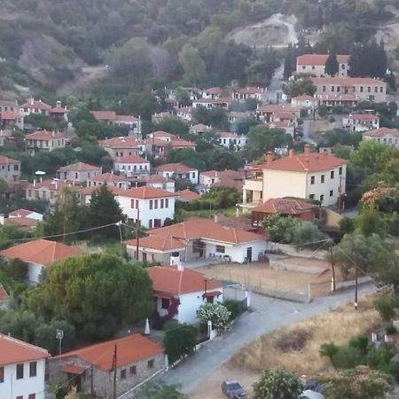 Nikiti Seaview Apartment Nikiti (Sithonia) Exterior foto